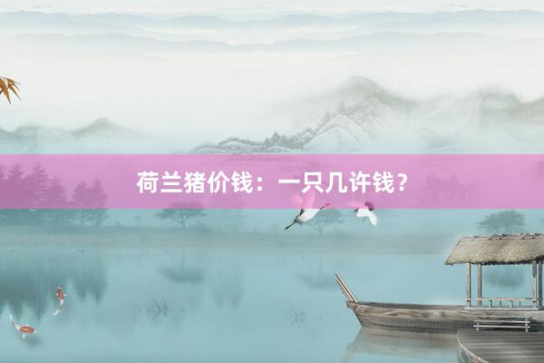 荷兰猪价钱：一只几许钱？