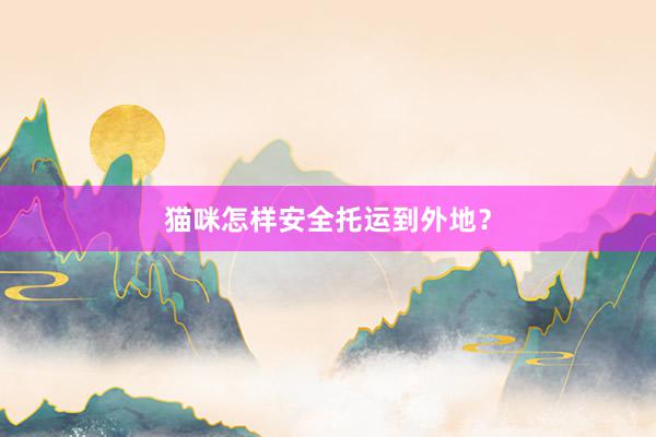 猫咪怎样安全托运到外地？